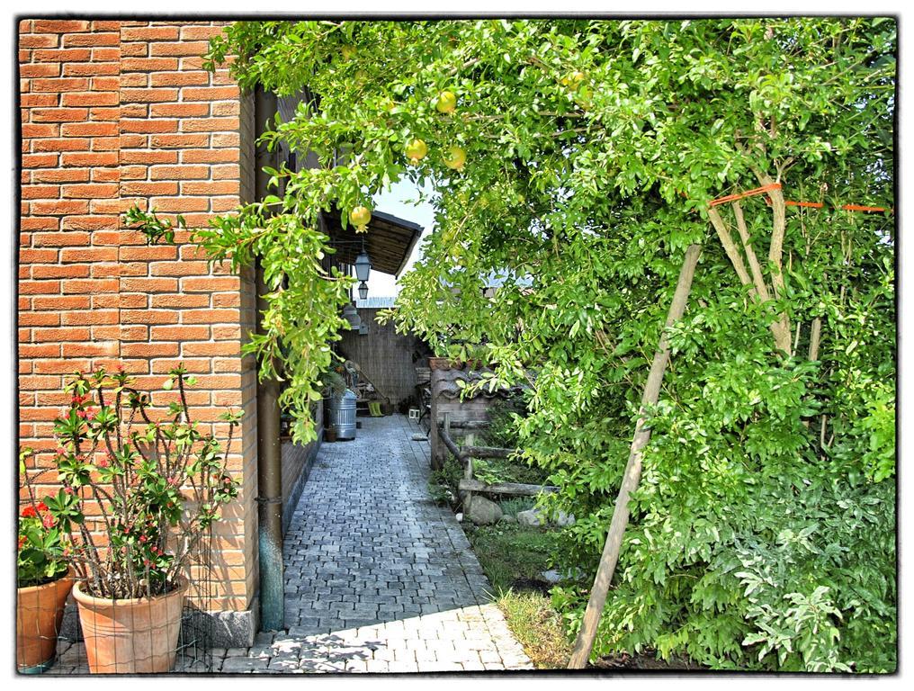 La Corte del Macero Castelfranco Emilia Exterior foto